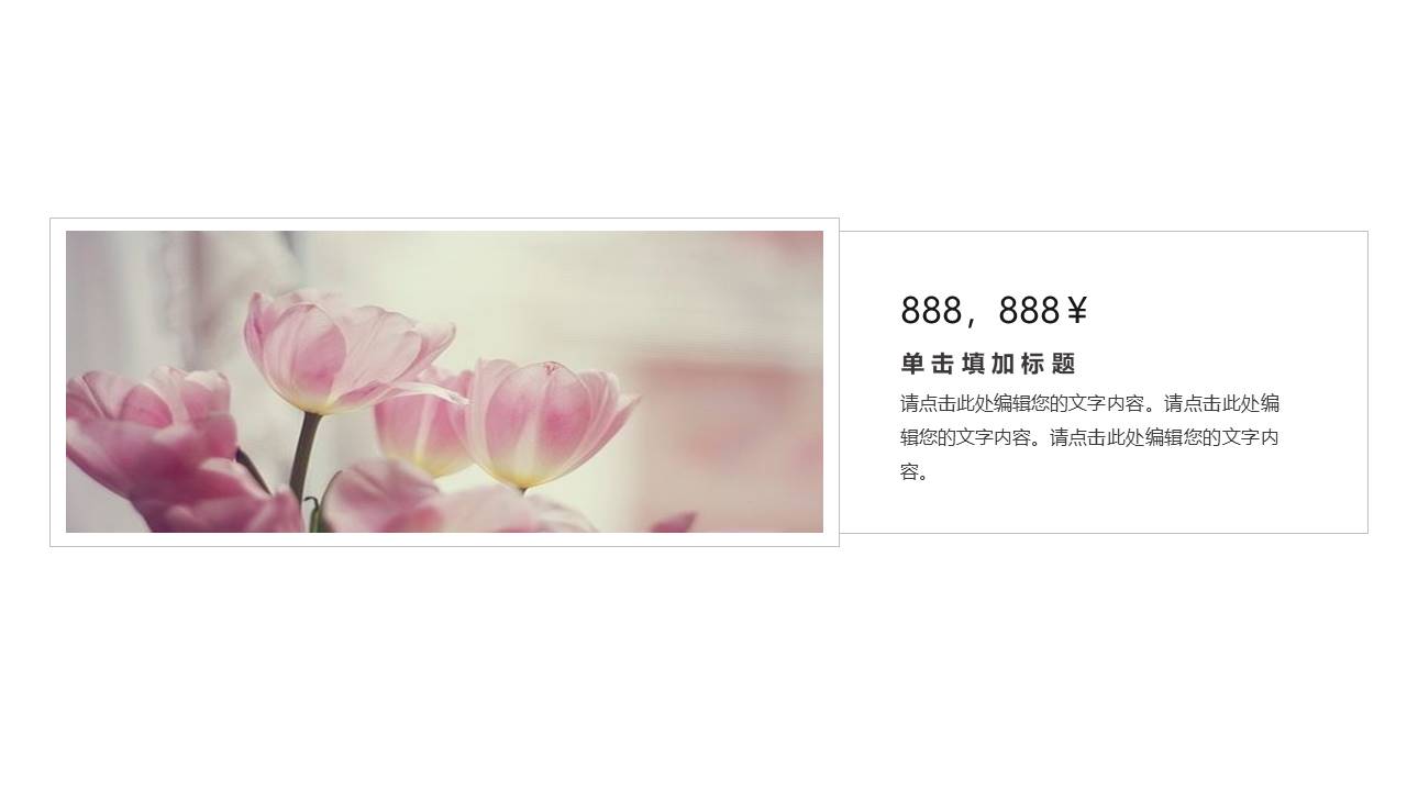 教育课件 (49).pptx